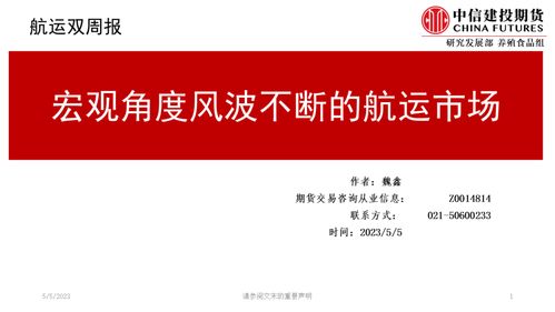 宏观视角下的航运市场 风波中的调整与未来
