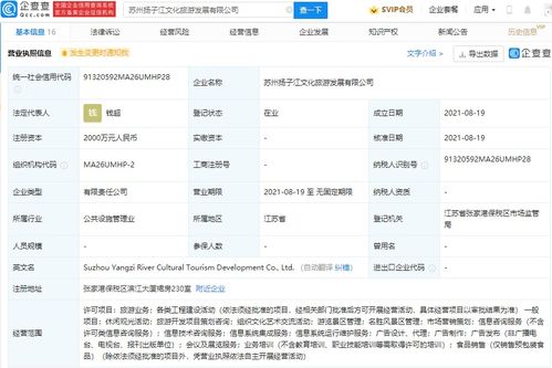 市场信息咨询 洞察趋势，驱动决策