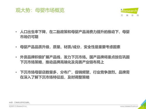 2021年下沉市场母婴行业专题研究报告